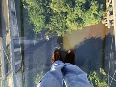 -客天下恐龙水晶玻璃桥