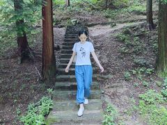 -四明山国家森林公园