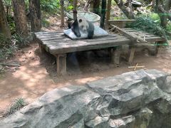 -广州长隆飞鸟乐园