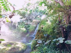 -Chom Cafe and Restaurant