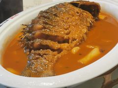 -阿五黄河大鲤鱼(纬三路店)