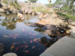 -罗红摄影艺术馆