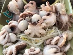 芥末白灼八爪鱼-贞姨美食·老字号海鲜大排档
