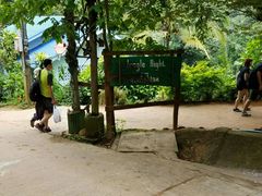-清迈丛林飞跃 JungleFlight