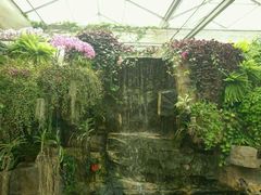 -兰陵国家农业公园