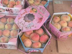 -南汇水蜜桃采摘(大团店)