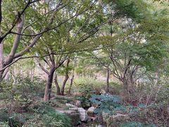 -上海滨江森林公园