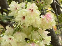 -江南大学(蠡湖校区)