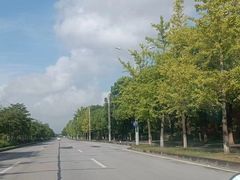 -胜华驾校·小猫学车(银都店)