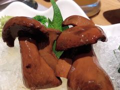 牛肝菌刺身-赤坂亭·M9和牛烧肉·铁板烧(合肥万象城店)