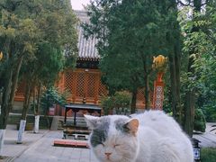 -湛山寺