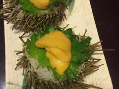 -左舞日本料理