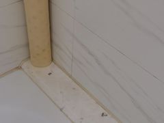 -上海新锦江大酒店