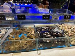 -加餐海鲜自助(宝龙一城店)