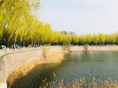 -青龙湖公园