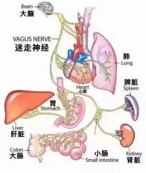 点击看大图 -昕孕瑜伽·孕妇瑜伽·产后修复
