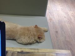 -小时光咖啡馆(开森度假森林店)
