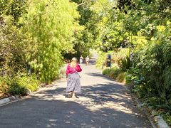 -墨尔本皇家植物园