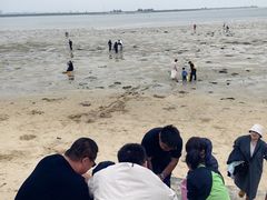 -北海金海湾红树林生态旅游区