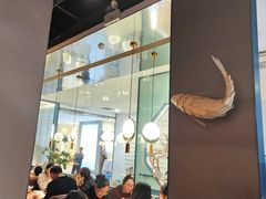 -老板恋上鱼(振华商厦店)