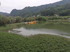 -后柳水乡