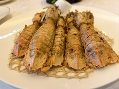 -欢乐海岸美食联盟