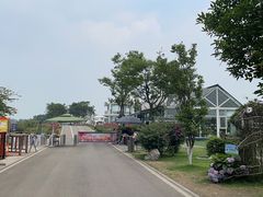 -空港花田景区