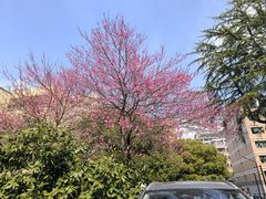 -浙江大学(玉泉校区)