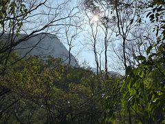 -百色大石围天坑群