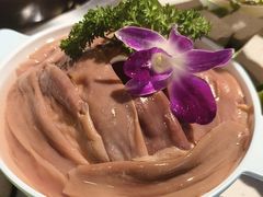 -钢管厂五区小郡肝火锅串串香(总店)