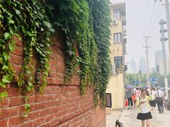 -上海市徐汇区口腔医院