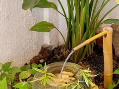 -如禾素食·下午茶·糖水