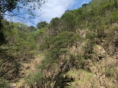 -祁门牯牛降观音堂风景区