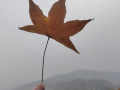 -香山公园