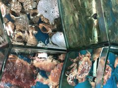 -渔中舟海鲜大排档(普陀沈家门店)