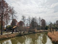 -宁波杭州湾国家湿地公园