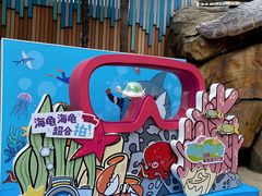 -海合安成都极地海洋公园