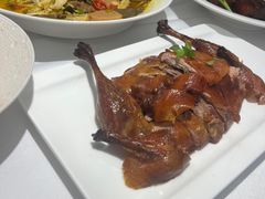 -圆苑(静安寺店)