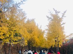 -圆明园停车场