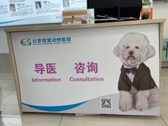 -北京观赏动物医院·24小时大型综合·猫专科·异宠专科
