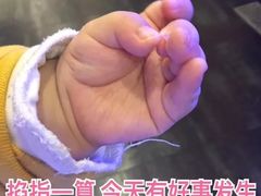 -漕河全驴宴饭店(徐水店)