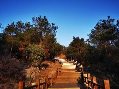 -南京市无想山景区