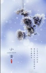 -雅曼妮spa美容养生