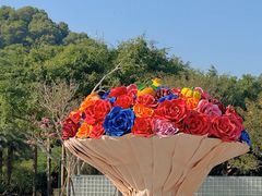 -东南花都花博园