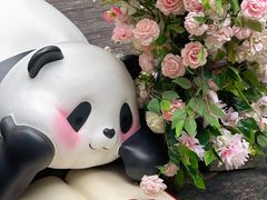 -轩客会(熊猫书店)