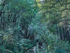 -同里国家湿地公园
