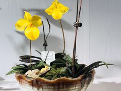 -北京植物园-展览温室