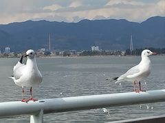 -海埂大坝