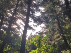 -深圳国际园林花卉博览园