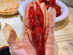 -虾皇(龙虾城旗舰店)